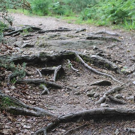 サンティアゴ・デ・コンポステーラ Casa De Piedra Tipicaヴィラ エクステリア 写真