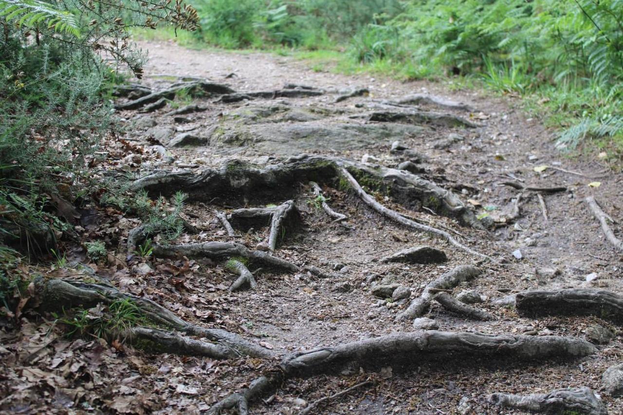 サンティアゴ・デ・コンポステーラ Casa De Piedra Tipicaヴィラ エクステリア 写真